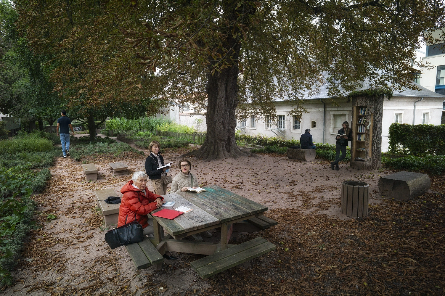 Image média: Requalifier le Jardin de la Citadelle 🧑‍🌾