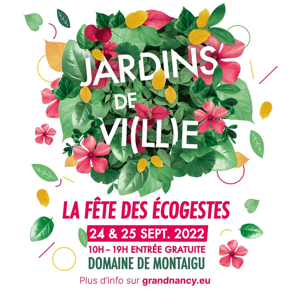 fr Affiche JDV
