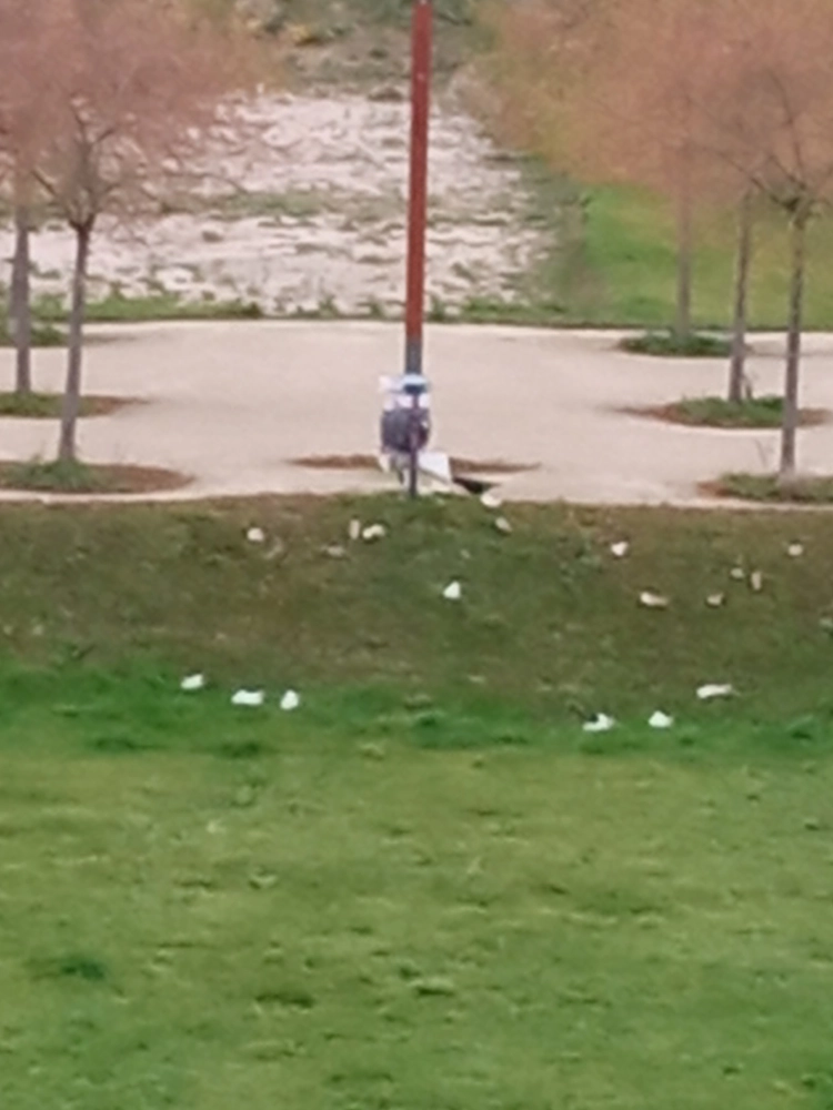 Image média: Amélioration des poubelles de rue