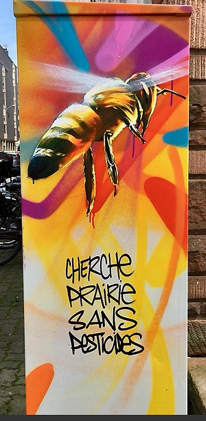 Image média: Du street art à message écologique positif sur les bornes en tout genre