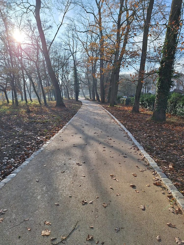 Image média: Améliorer les chemins piétonniers des parcs 