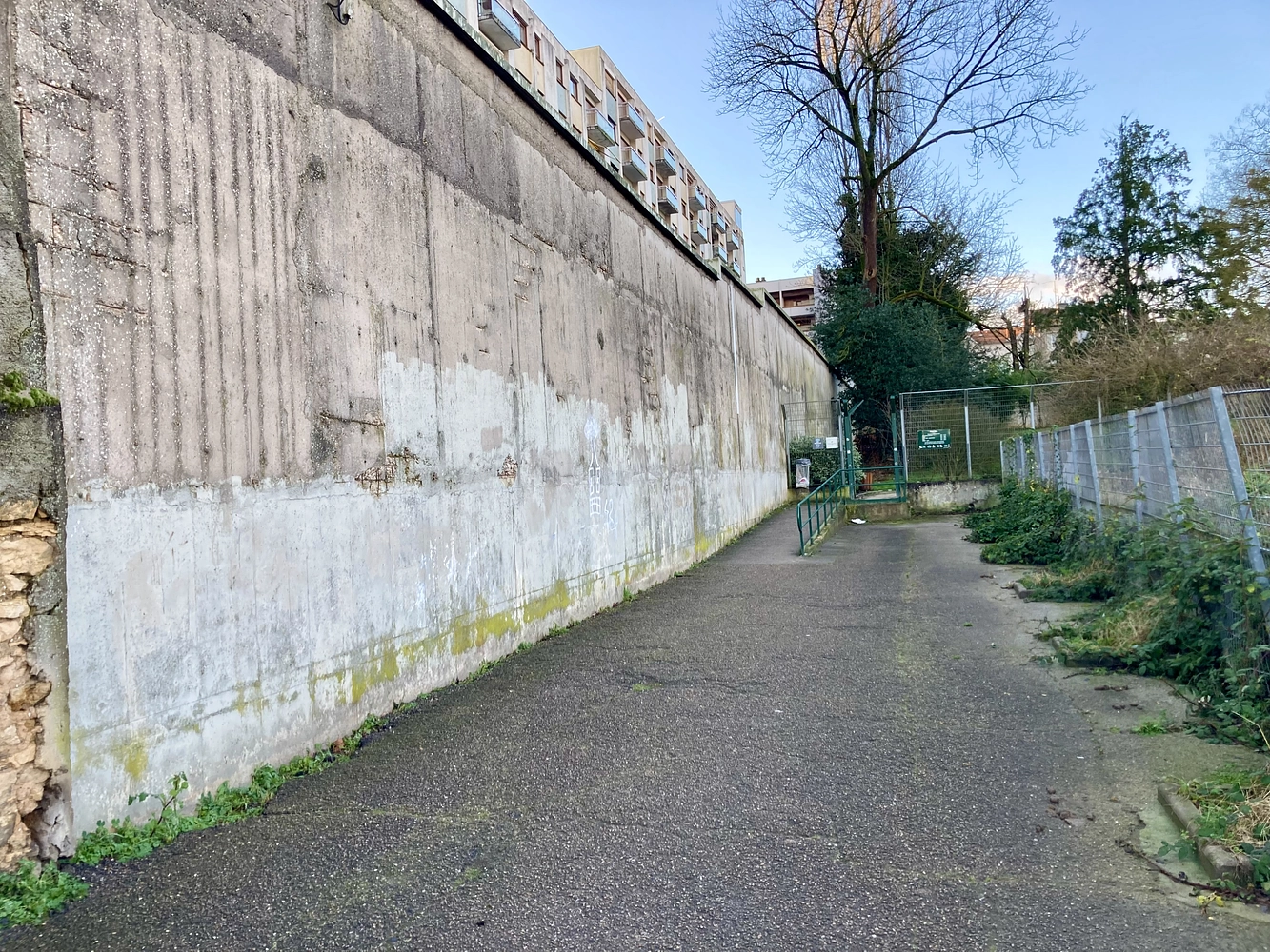 Image média: Parc Olry : de la vie sur le mur d’entrée grâce à une fresque