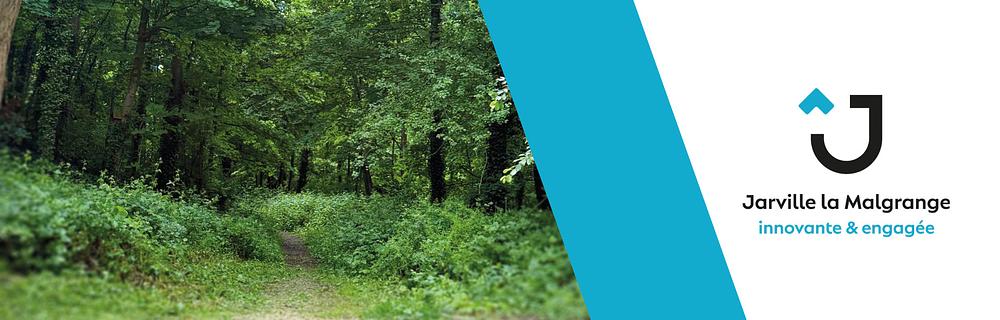 Image média: Consultation sur le Bois de Renémont.