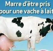 Image média: En années de vaches très maigres, comment sauver NANCY ?