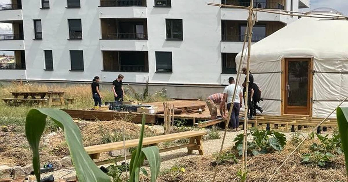 Image média: Création de potager partagé dans les quartiers de la ville