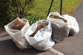 Image média: Ramassage des déchets végétaux