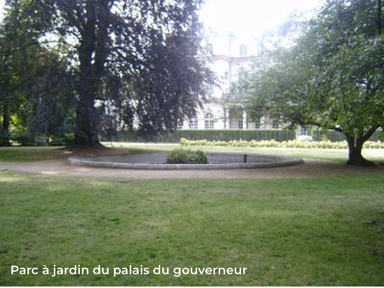 Image média: Espace de liberté pour les chiens 