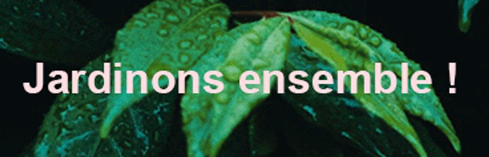 Image média: Jardinons ensemble !
