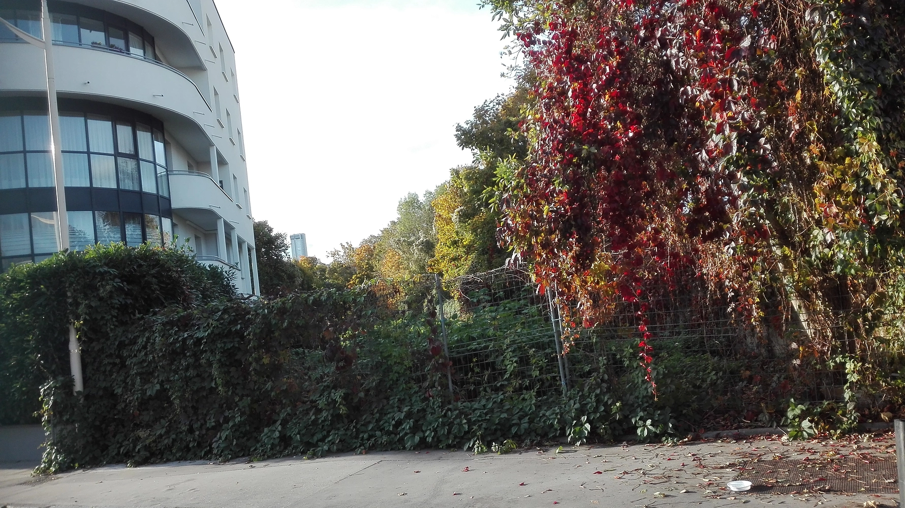 Image média: Création d’un parc dans le quartier Faubourg des III Maisons-Crosne-Vayringe, rue de Solignac